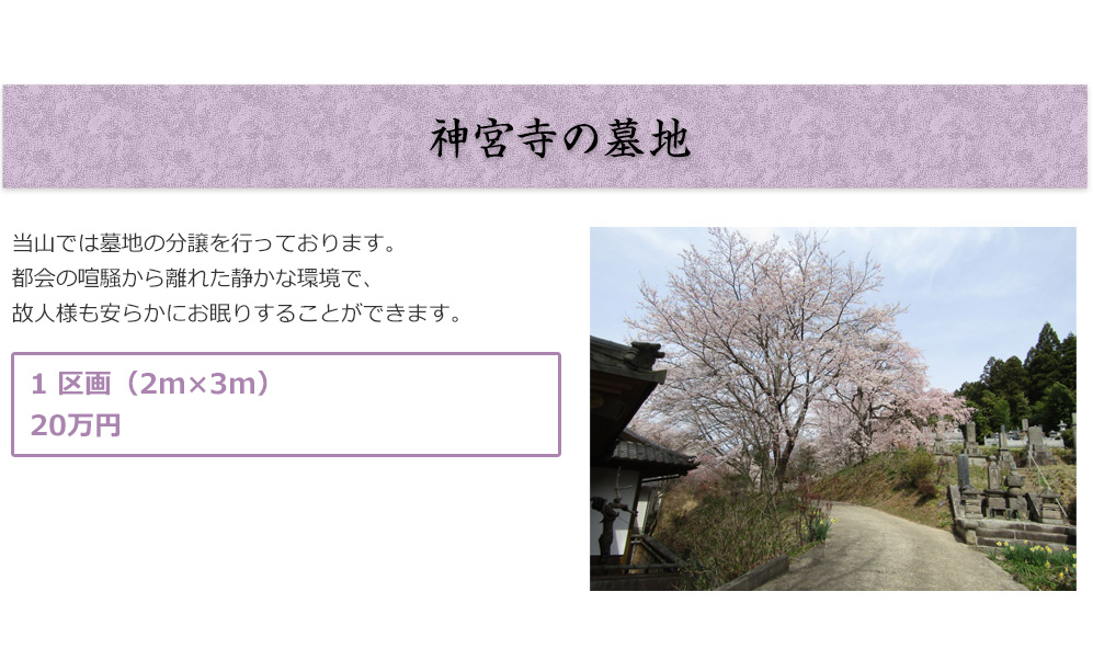 神宮寺の墓地

当山では墓地の分譲を行っております。
都会の喧騒から離れた静かな環境で、故人様も安らかにお眠りすることができます。
■1 区画（2m×3m）：20 万円

