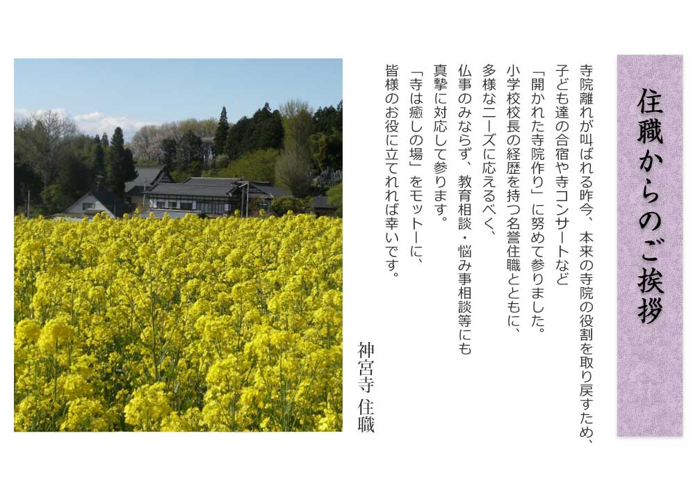 住職からのご挨拶
        
寺院離れが叫ばれる昨今、本来の寺院の役割を取り戻すため、
子ども達の合宿や寺コンサートなど
「開かれた寺院作り」に努めて参りました。
小学校校長の経歴を持つ名誉住職とともに、
多様なニーズに応えるべく、
仏事のみならず、教育相談・悩み事相談等にも
真摯に対応して参ります。
「寺は癒しの場」をモットーに、
皆様のお役に立てれれば幸いです。
　　　　　　　　　　　　　　　　　　　　　　神宮寺住職

