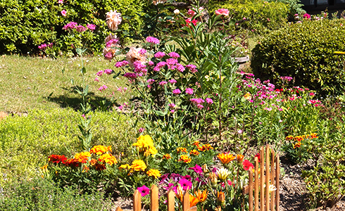 高音寺について