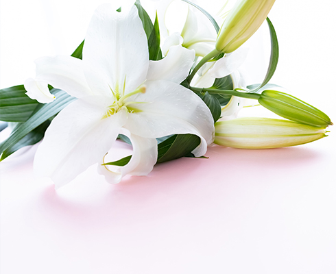 宗旨宗派は問いません